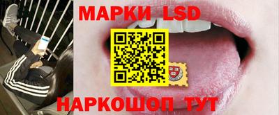 стаф Можга
