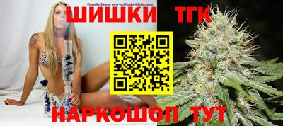 стаф Можга