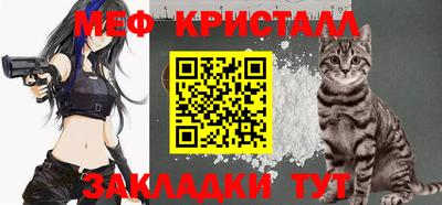 стаф Можга
